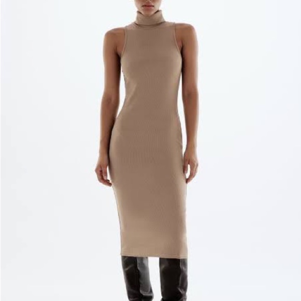 Zara | Turtleneck Dress